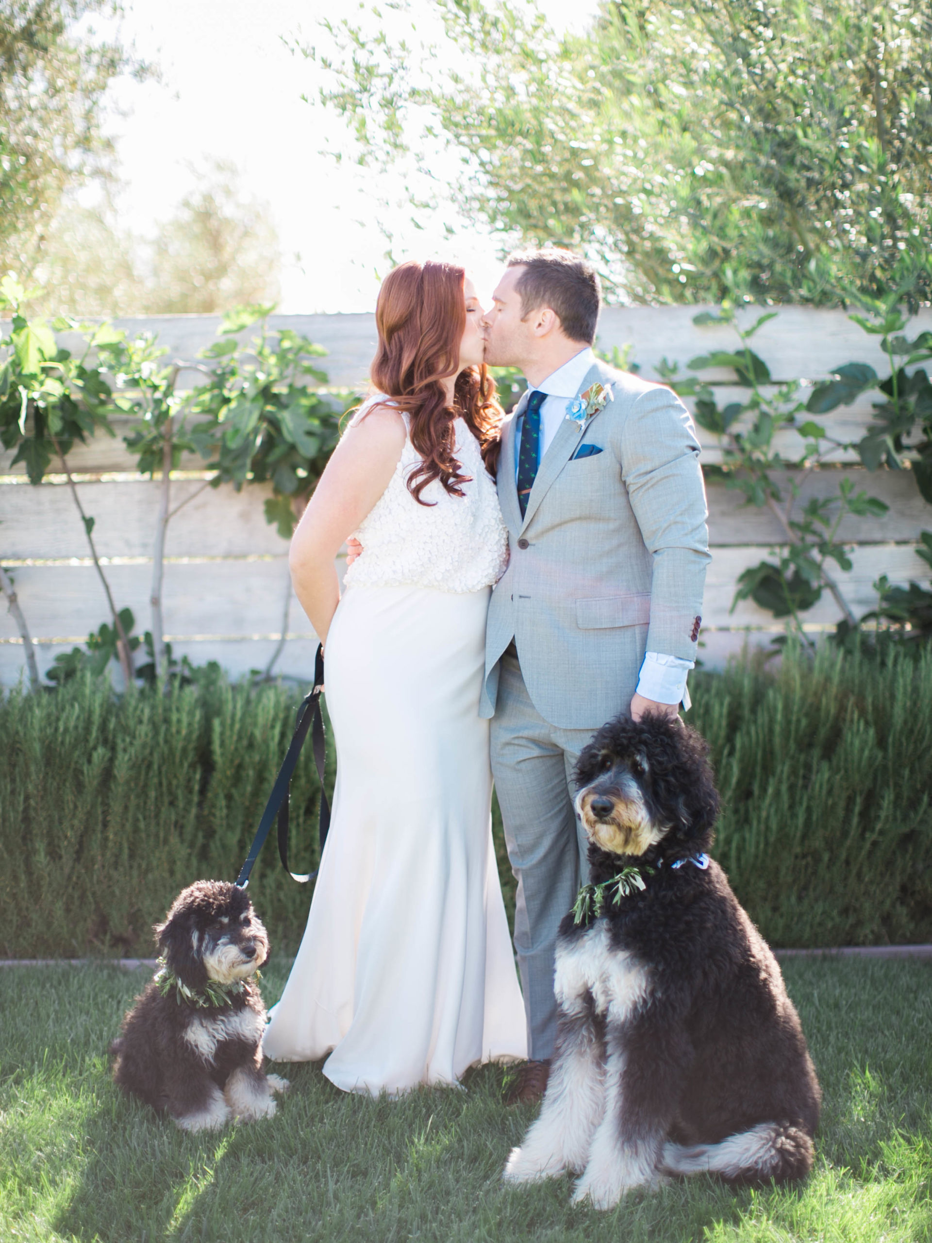 Couple sharing a kiss at their wedding with two dogs 