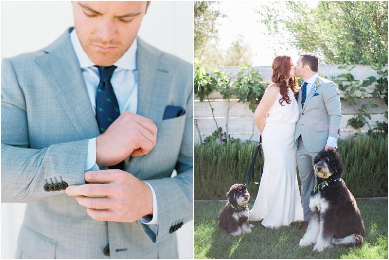  handsome groom gets ready and kisses bride with dogs by his side 