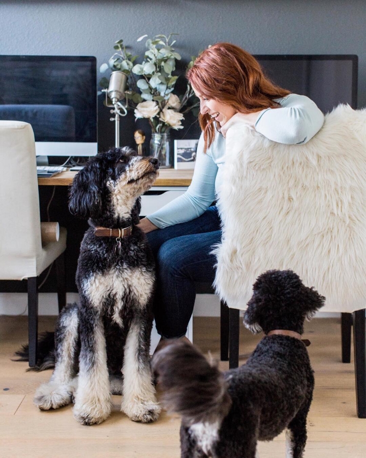  female entrepreneur sitting at desk with her dogs 